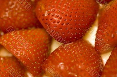 sweet strawberry