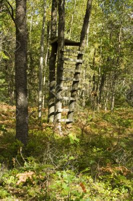 Tree stand