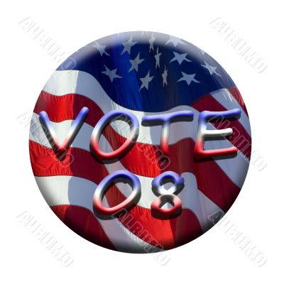 vote 08