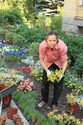 Woman planting out sprouts