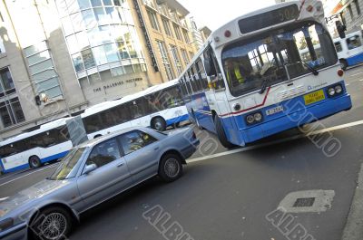 sydney busses