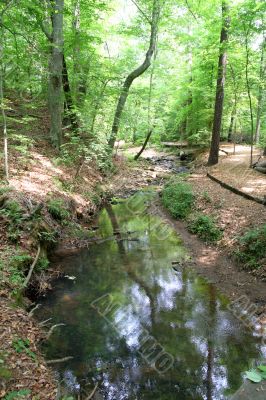 Peaceful Creek