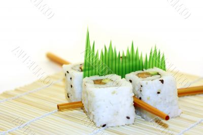 Sushi Rolls structured over white
