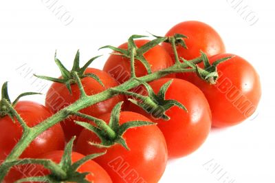 Ripe tomatoes