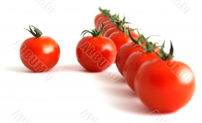 willful tomato