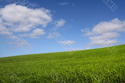 The green hill (horizontal)