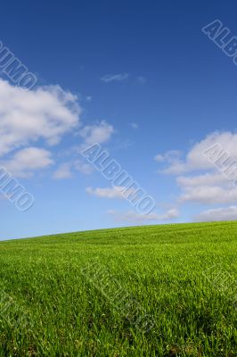 The green hill (vertical) The green hill (vertical)