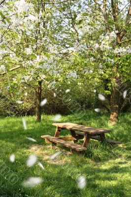 Spring picnic table