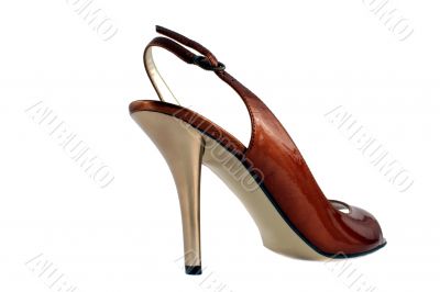 Ladies high heel shoe