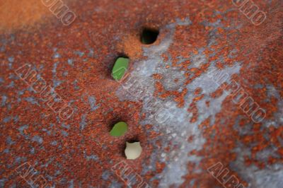 Rusty 50 gallon Drum with bullet holes Rusty 50 gallon Drum with bullet holes
