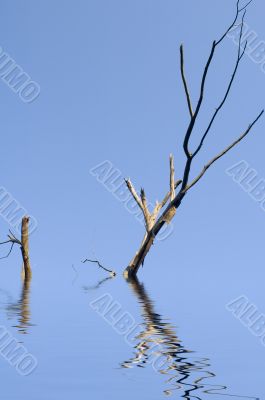 Fragment trees