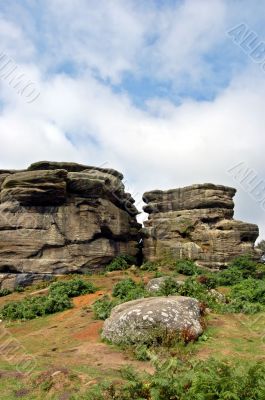 Brimham Rocks vertical