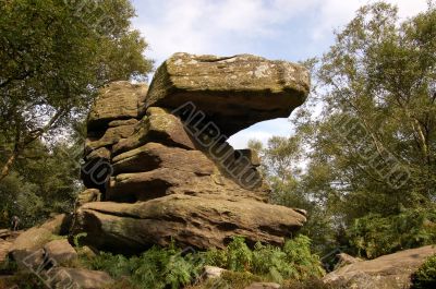 Stone formation at Brimham Rocks