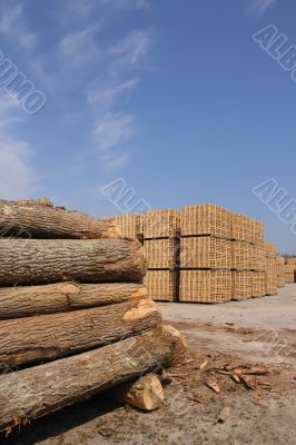 Wooden packing crates production