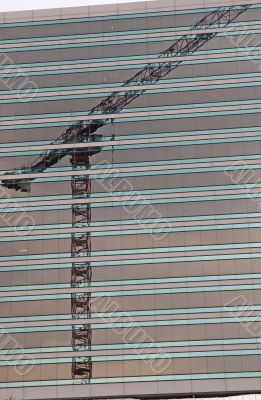 Crane Reflection