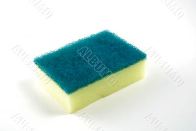 Sponge