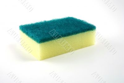 Sponge