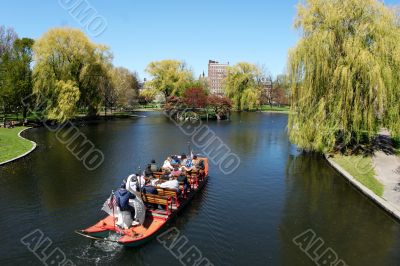 Swan Boat In The Park