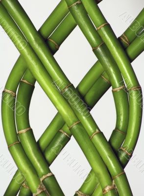 Braided Bamboo Braided Bamboo