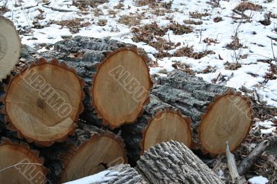 Wood pile Wood pile