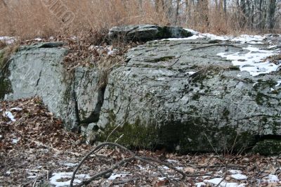 Boulder in the woods