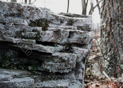 Boulder in the woods