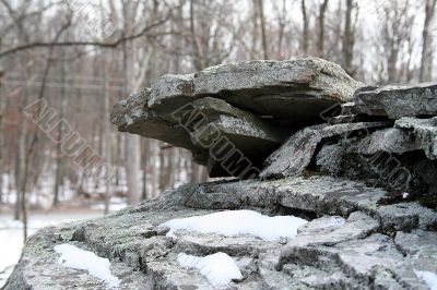 Boulder in the woods