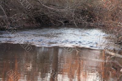 Stream Rapids Stream Rapids