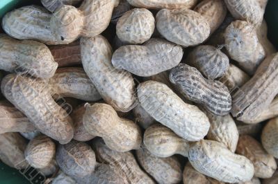 Peanuts with shells
