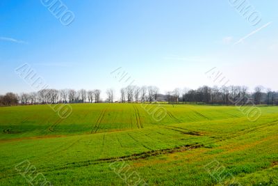 France