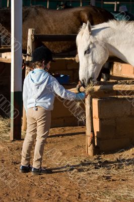 feeding the horse