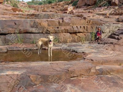 African child and dog