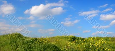 Background Of Sky And Grass