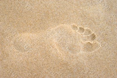 fresh footstep on sand fresh footstep on sand