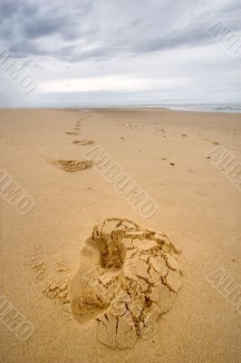 footprints on a wild beach