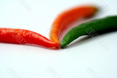 Pepper isolated in White Background