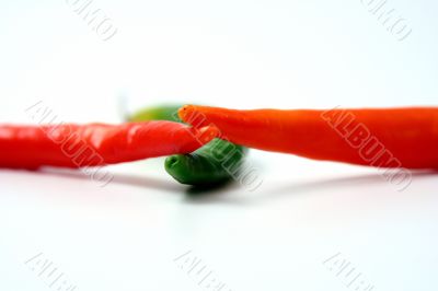 Pepper isolated in White Background