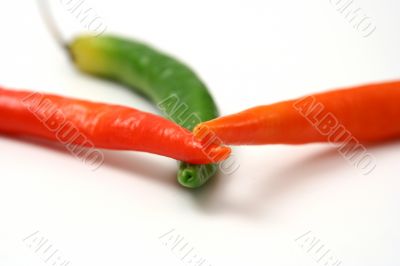 Pepper isolated in White Background