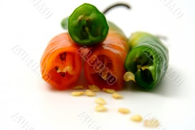 Pepper isolated in White Background