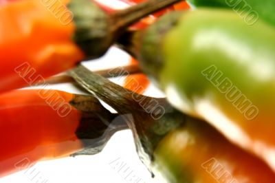 Pepper isolated in White Background