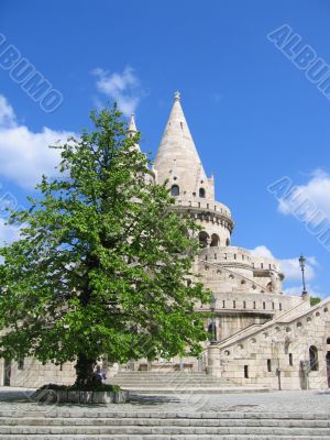 Tree and Fortress