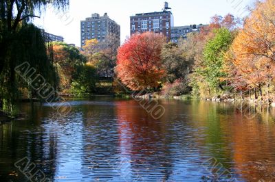 autumn in central park, new york