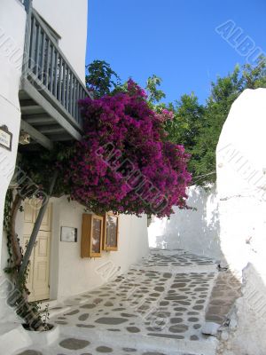 Alley way in Mykonos Alley way in Mykonos