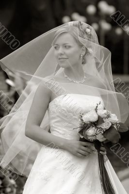 Beautiful bride