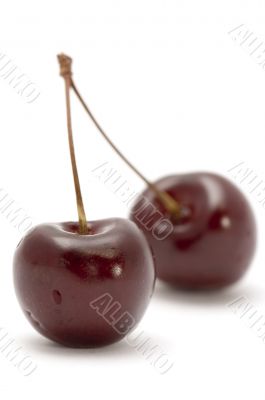 cherry