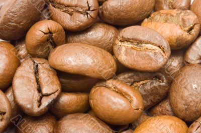 Textures - Coffee Beans Macro