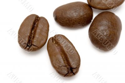 Scattered Coffee Beans