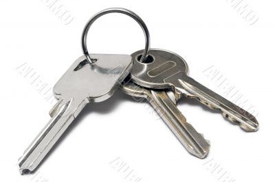 Three Apartment Keys w/ Ring