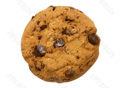Single Chocolate Chip Cookie w/ Path