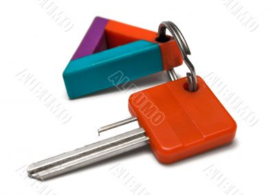 Single Key w/ Colorful Tag